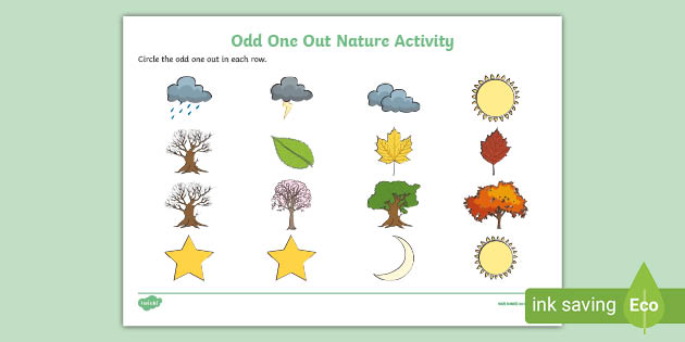 👉 Odd One Out Nature Worksheet (teacher made) - Twinkl