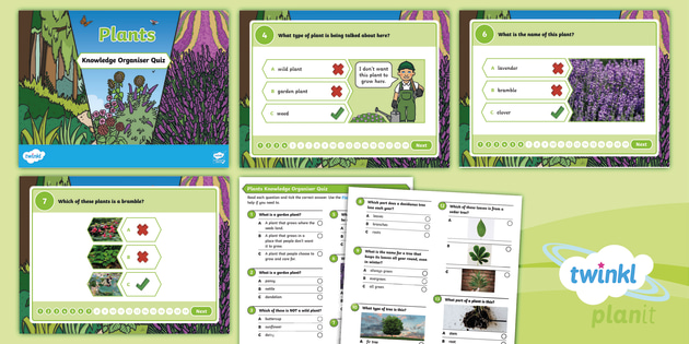 Science Plants Year 1 Knowledge Organiser Quiz Pack 4657