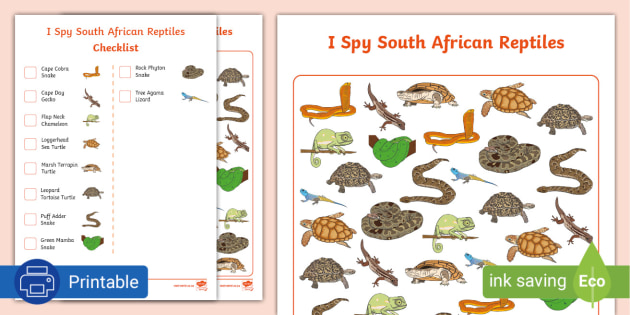 south african reptiles