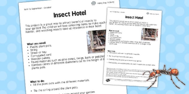 sheet fact hotel bug sheet hotel, Hotel worksheet,  insect  Worksheet work, Insect