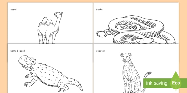 desert animals coloring pages