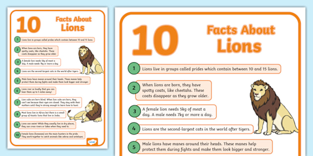 10 Facts About Lions Display Poster
