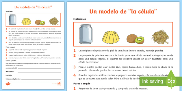 Experimento de ciencias: Modelo de una célula - Twinkl