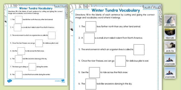 Winter Activities for Second Graders | twinkl.com