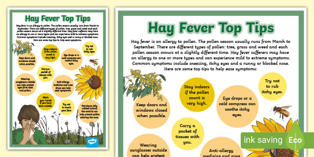 Hay Fever Information Poster (Teacher Made)