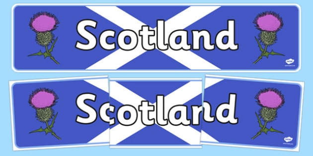 Scotland Display Banner Scotland Scottish Thistle Display 2501