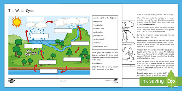 Explain The Water Cycle In Your Own Words Worksheet - Twinkl