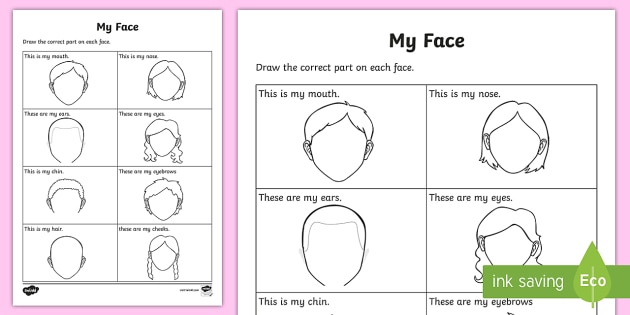Lesson plans facial traits