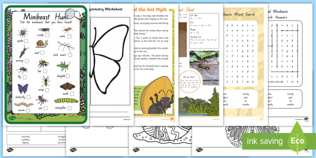 New Zealand Minibeasts Reliever's Activity Pack