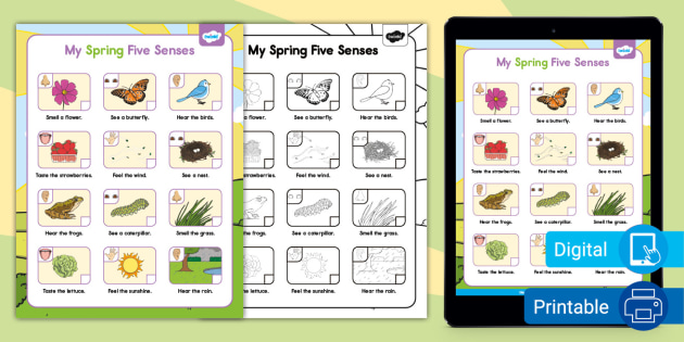 My Spring Five Senses Scavenger Hunt | Twinkl USA
