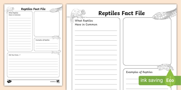 Reptiles Fact File Writing Frame (teacher made)