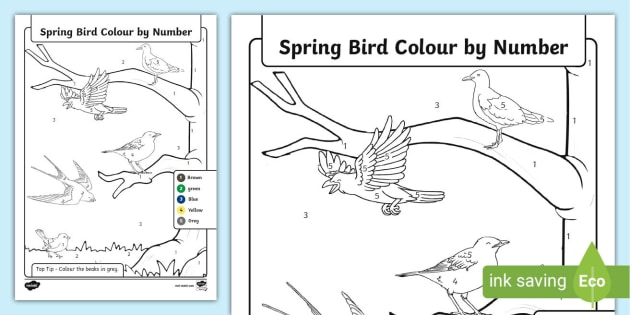 birds and flowers color by number