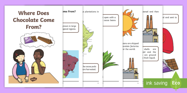 Where Does Chocolate Come From? - Where Chocolate Comes From Matching  Activity