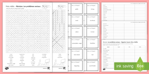 Social Issues Revision Worksheet / Activity Sheets French