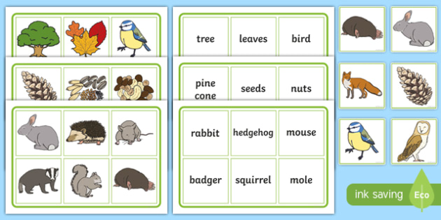 Woodland and Forests Matching Game - ESL Forest Vocabulary Game