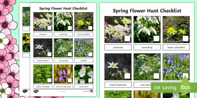 Spring Flower Hunt Outdoor Spring Checklist Twinkl