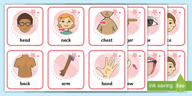 Body Flashcards | Body Parts | Ages 5-6 | Twinkl - Twinkl