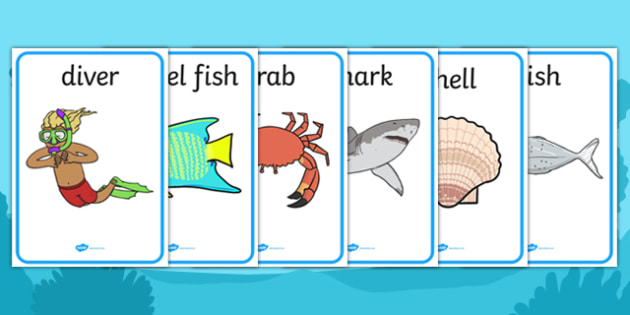 Under the Sea Display Posters