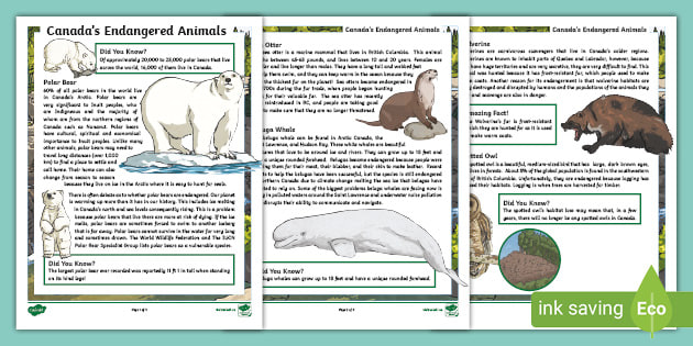 Canada's Endangered Animals Fact File (teacher made)