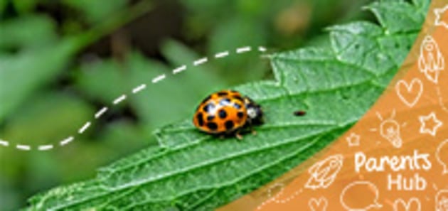 Examples of Similes for Kids