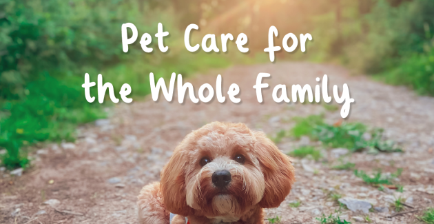 Family dog sale care