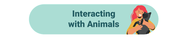 Interacting with Animals