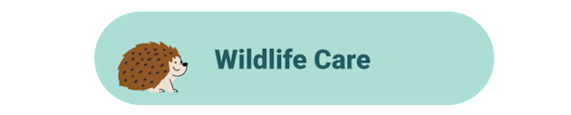 Caring for Wildlife