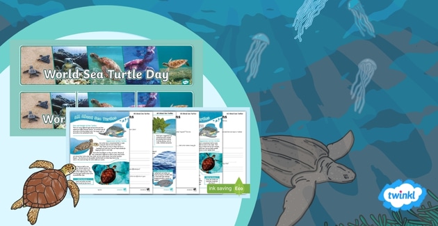 World Sea Turtle Day 