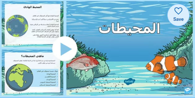 اليوم الدولي للمحيطات