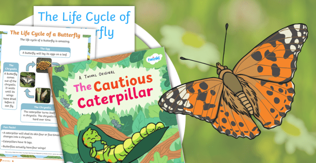 Butterfly Education and Awareness Day