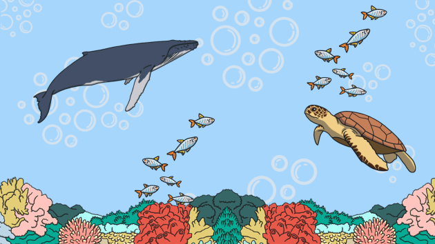 World Oceans Day 2026