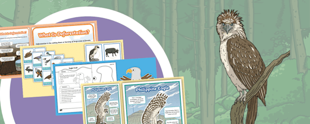 Philippine Eagle Week