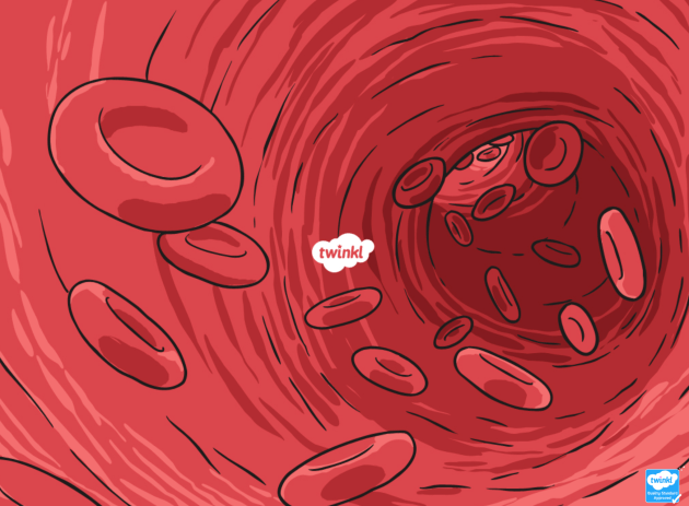 Día Mundial del Donante de Sangre