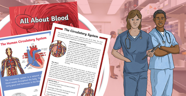 World Blood Donor Day