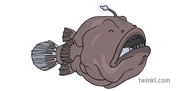 What is an Anglerfish?, Facts for Kids