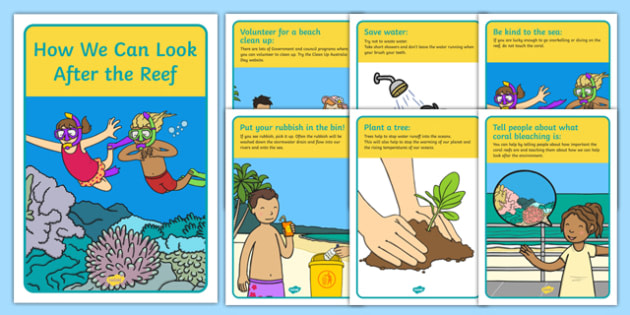 Great Barrier Reef Facts for Children | Twinkl Teaching Wiki