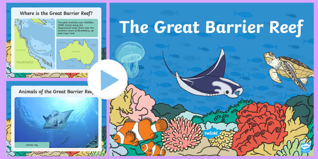 Great Barrier Reef Facts for Children