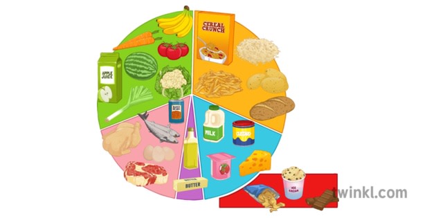 5 Food Groups | Food Group Facts For Kids | Teaching Wiki