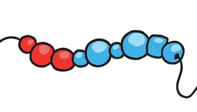 What is a Bead String? - Answered - Twinkl Teaching Wiki