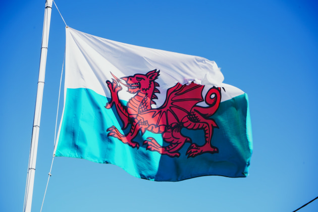 700 Celtic Welsh Names for Your Welsh Culture