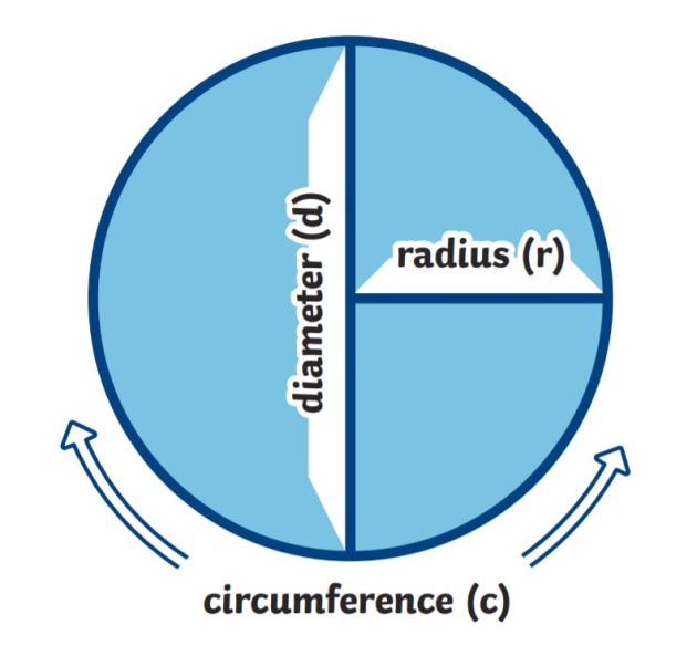 What Is The Difference Between Radius And Diameter Of A Circle - Design ...