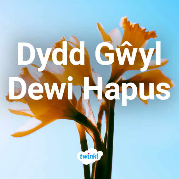 Cities in Wales  Twinkl Wiki - Twinkl