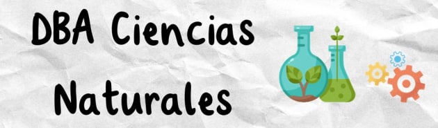 DBA | Derechos Básicos De Aprendizaje En Colombia | Twinkl