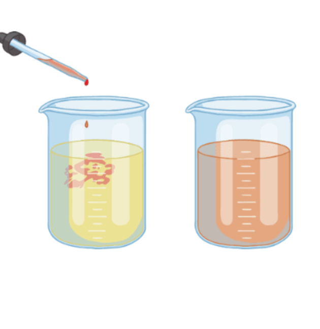 the-dissolving-of-sugar-in-water