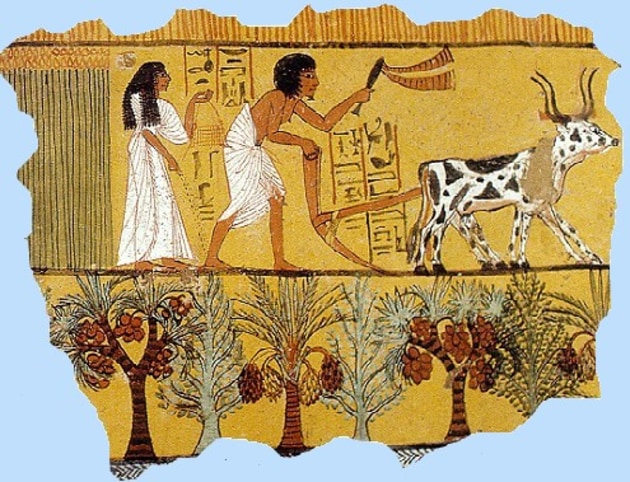 Bạn có muốn tìm hiểu về nông nghiệp cổ đại Ai Cập? Ảnh này sẽ giúp bạn thấy rõ hơn về chiến lược phát triển nông nghiệp của đất nước này hàng nghìn năm trước. Hãy để họa sĩ dẫn bạn đi vào hành trình khám phá những bí ẩn của nền nông nghiệp cổ đại này.