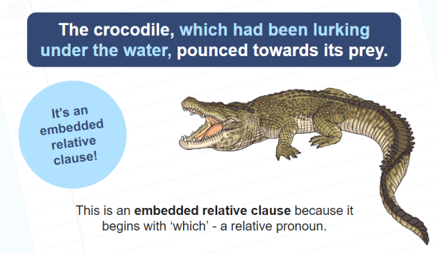 Embedded Clause Examples Definition And Teaching Resources