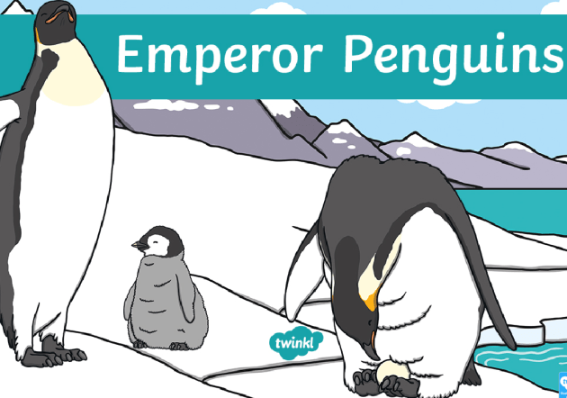 emperor penguins predators