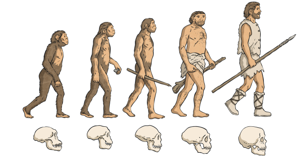 What is evolution? - Twinkl