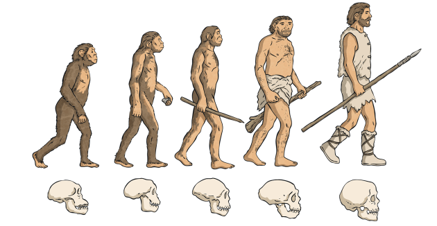 evolution of man timeline