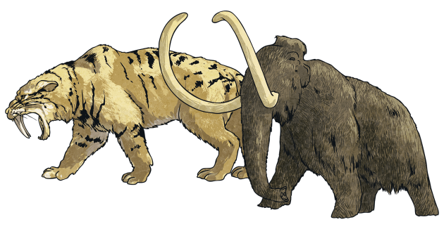 What are extinct animals? - Twinkl